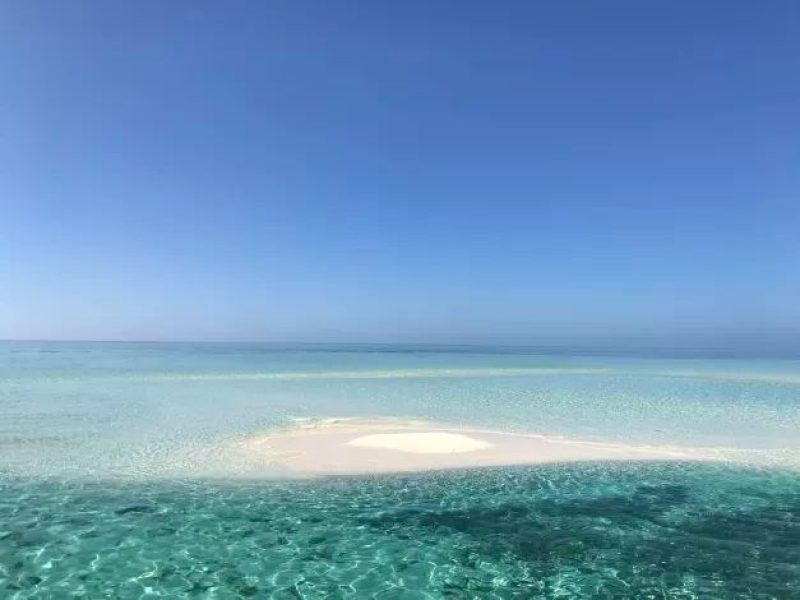 حجز فنادق وطيران